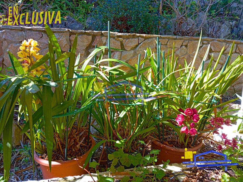 CAS-2 Preciosa casa amb grans vistes al mar. Casa aislada / Villa Urbanització Santa Isabel Port de la Selva (El) CAS-2 Preciosa casa amb grans vistes al mar. Casa aislada / Villa Urbanització Santa Isabel Port de la Selva (El)