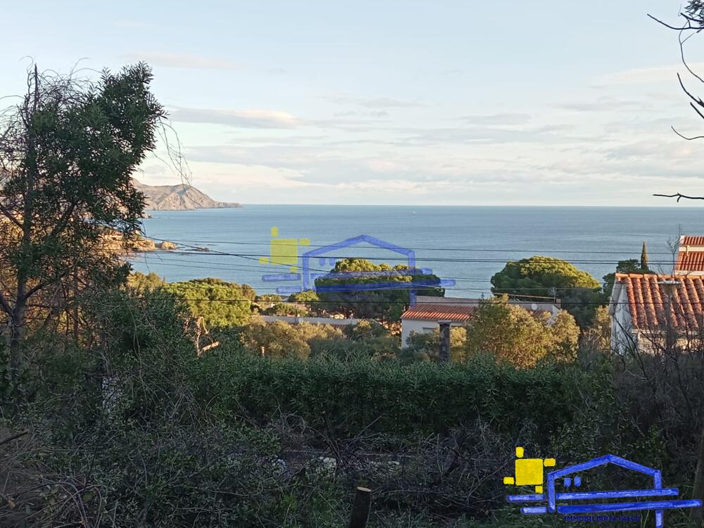 TE-42 TE-42 Terreny FANE DE DALT Llançà TE-42 TE-42 Terreny FANE DE DALT Llançà