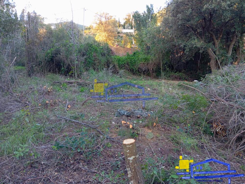 TE-42 TE-42 Terreny FANE DE DALT Llançà TE-42 TE-42 Terreny FANE DE DALT Llançà