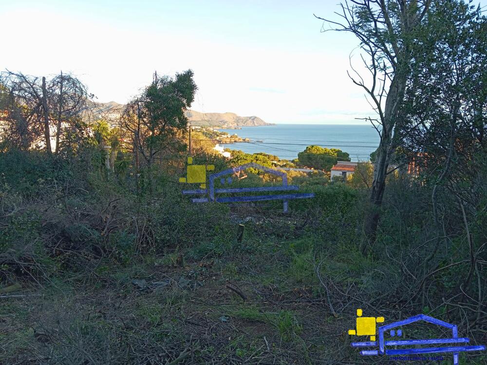 TE-42 TE-42 Terreny FANE DE DALT Llançà TE-42 TE-42 Terreny FANE DE DALT Llançà