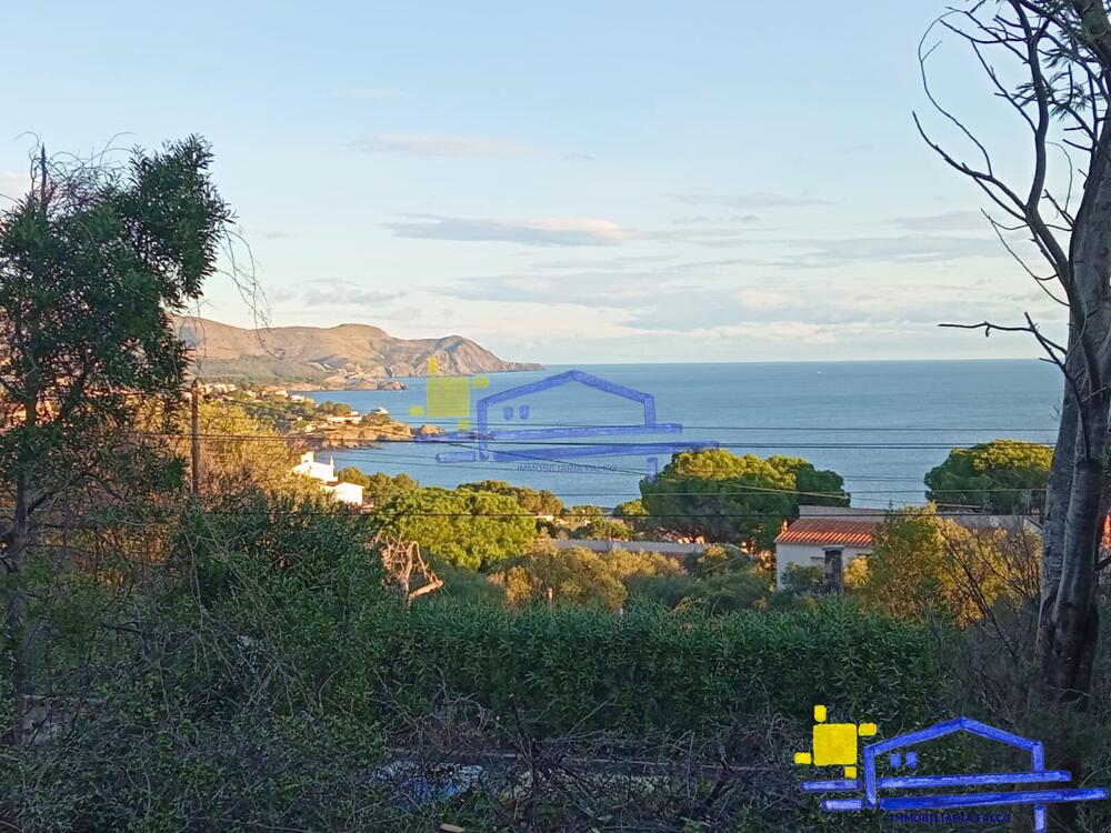 TE-42 TE-42 Terreny FANE DE DALT Llançà TE-42 TE-42 Terreny FANE DE DALT Llançà