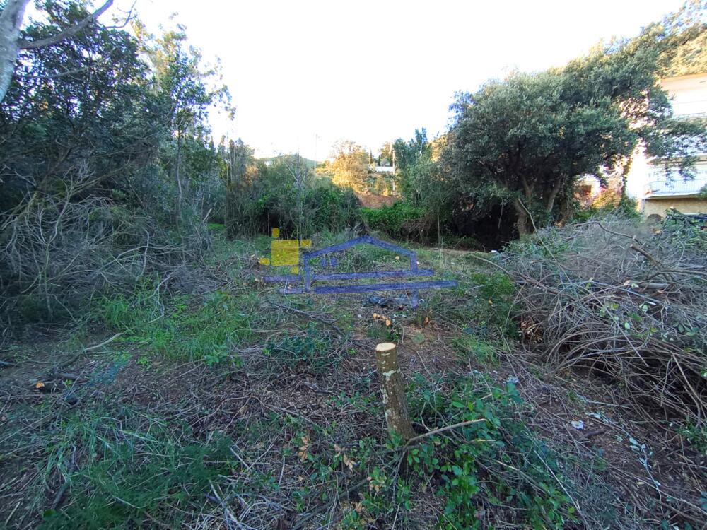 TE-42 TE-42 Terreny FANE DE DALT Llançà TE-42 TE-42 Terreny FANE DE DALT Llançà