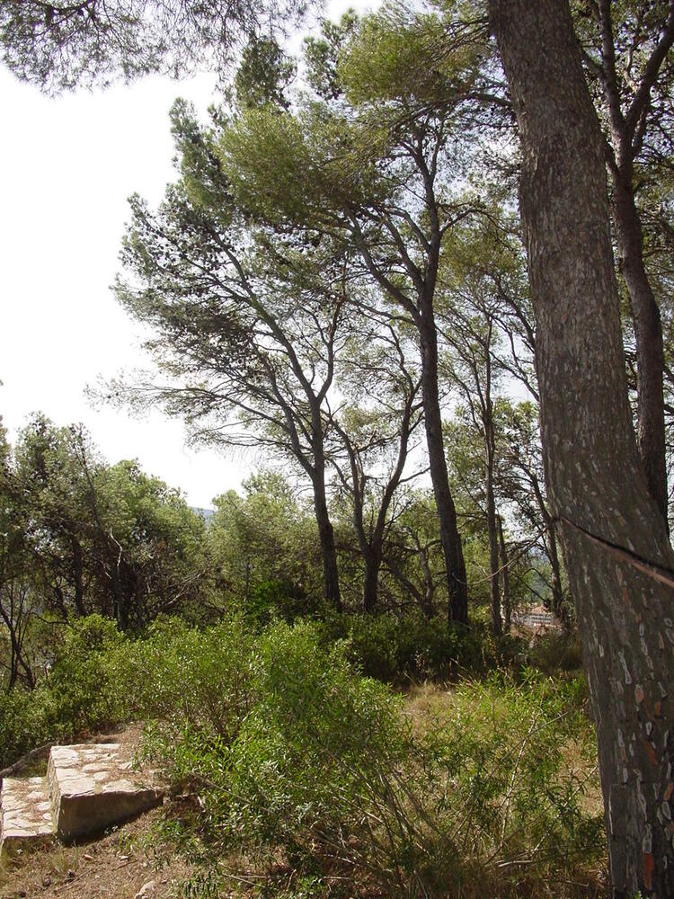 VENT-PARCELA 56 PARCELA 56 URB. ROCAMAURA Terreno Estartit (L´) VENT-PARCELA 56 PARCELA 56 URB. ROCAMAURA Terreno Estartit (L´)