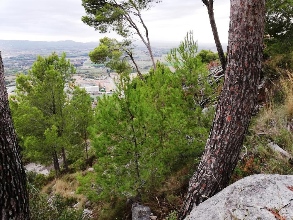 VENT-PARCELA 100 PARCELA 100 Terreno Estartit (L´) VENT-PARCELA 100 PARCELA 100 Terreno Estartit (L´)