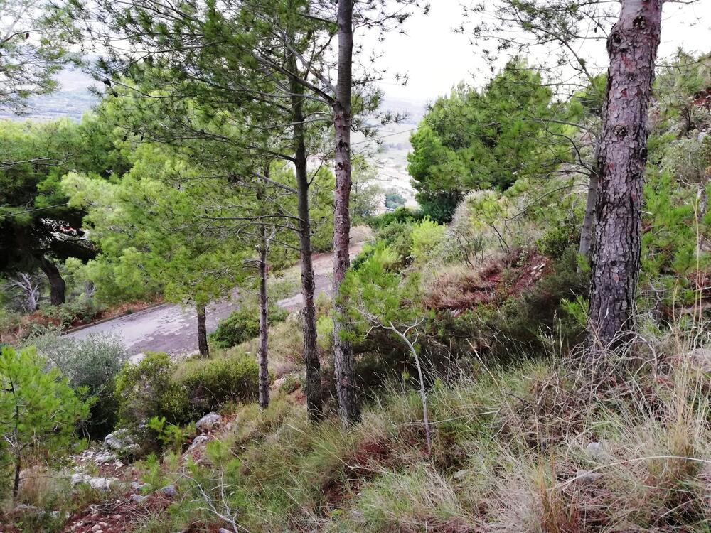 VENT-PARCELA 100 PARCELA 100 Terreno Estartit (L´) VENT-PARCELA 100 PARCELA 100 Terreno Estartit (L´)