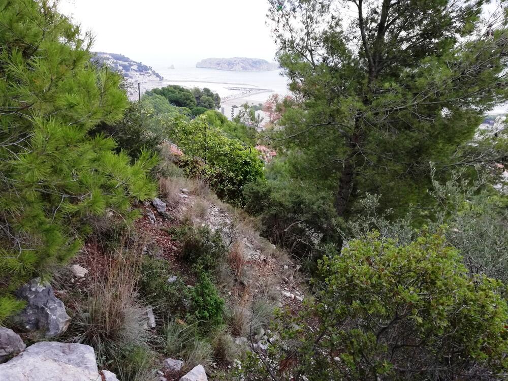 VENT-PARCELA 100 PARCELA 100 Terreno Estartit (L´) VENT-PARCELA 100 PARCELA 100 Terreno Estartit (L´)