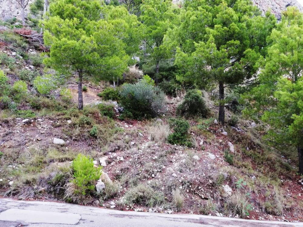 VENT-PARCELA 100 PARCELA 100 Terreno Estartit (L´) VENT-PARCELA 100 PARCELA 100 Terreno Estartit (L´)