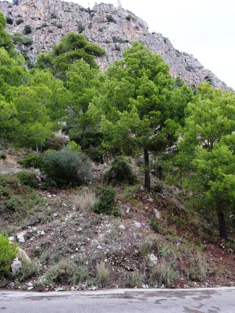 VENT-PARCELA 100 PARCELA 100 Terreno Estartit (L´) VENT-PARCELA 100 PARCELA 100 Terreno Estartit (L´)