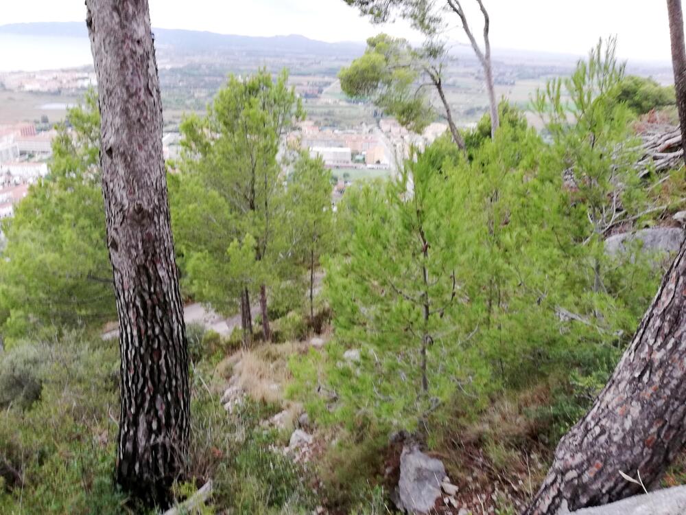 VENT-PARCELA 100 PARCELA 100 Terreno Estartit (L´) VENT-PARCELA 100 PARCELA 100 Terreno Estartit (L´)