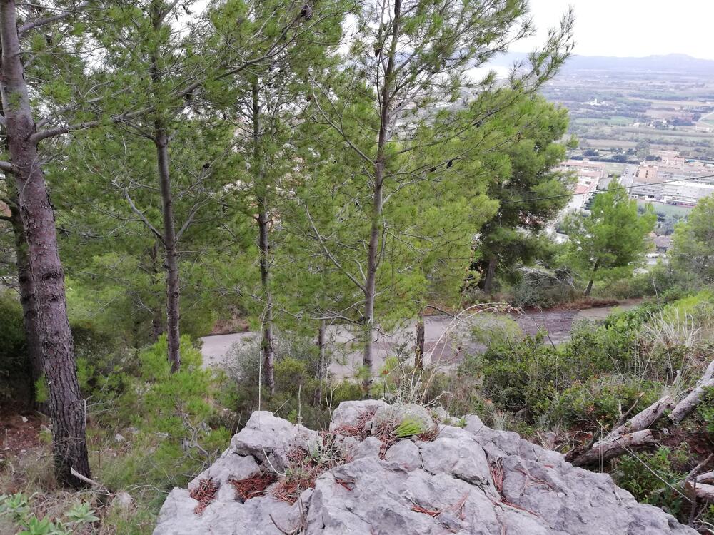 VENT-PARCELA 100 PARCELA 100 Terreno Estartit (L´) VENT-PARCELA 100 PARCELA 100 Terreno Estartit (L´)