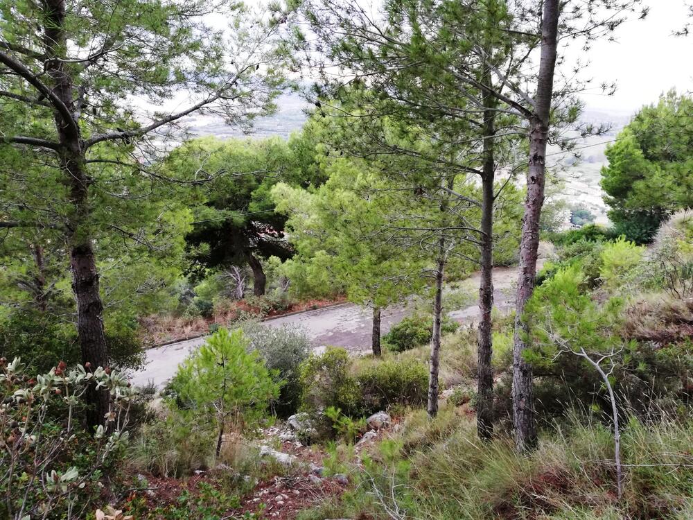 VENT-PARCELA 100 PARCELA 100 Terreno Estartit (L´) VENT-PARCELA 100 PARCELA 100 Terreno Estartit (L´)