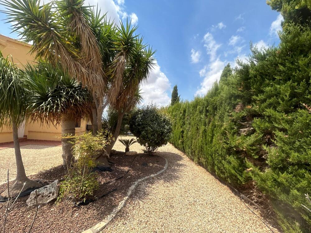 HK 35A 35 ALEMANIA Detached house / Villa Phase 1 Fuente Álamo de Murcia