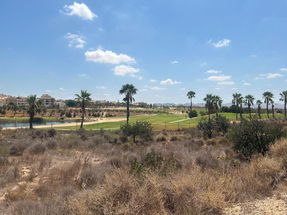 HK 10.03 HUNGRIA Terreno  Fuente Álamo de Murcia
