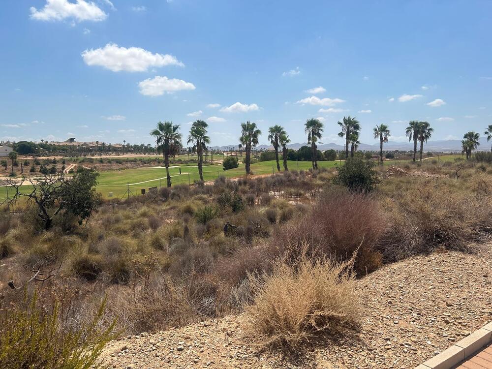 HK 10.04 HUNGRIA Terreno  Fuente Álamo de Murcia