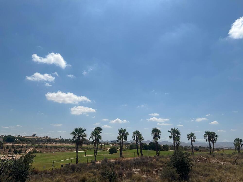 HK 10.04 HUNGRIA Terreno  Fuente Álamo de Murcia