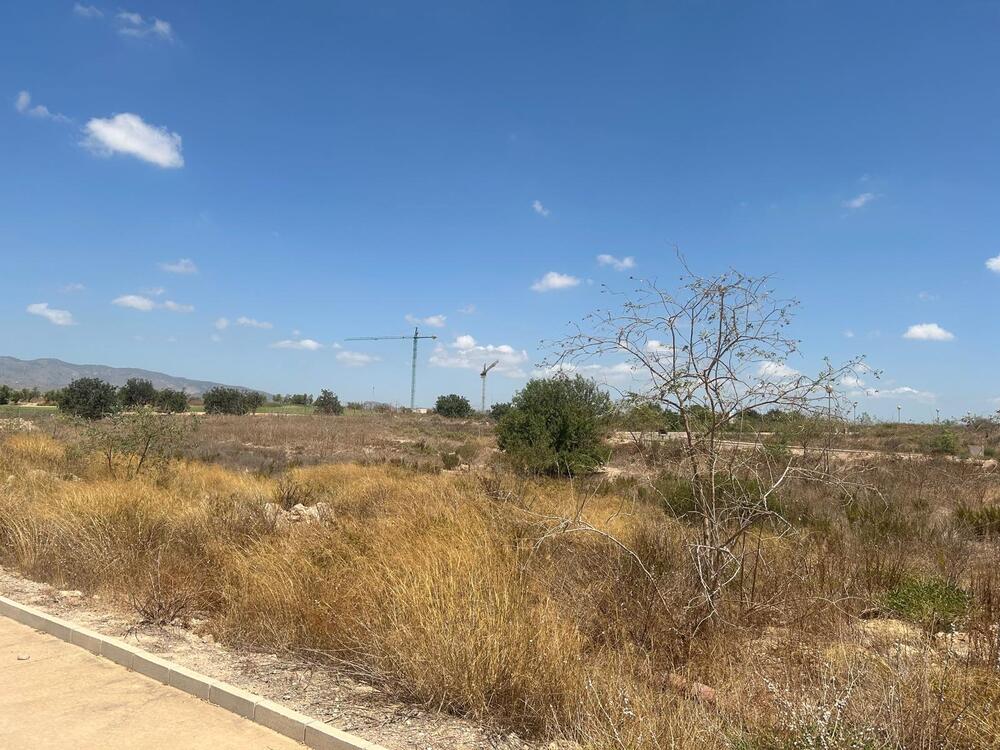 HK 4.03 ITALIA Terreno  Fuente Álamo de Murcia