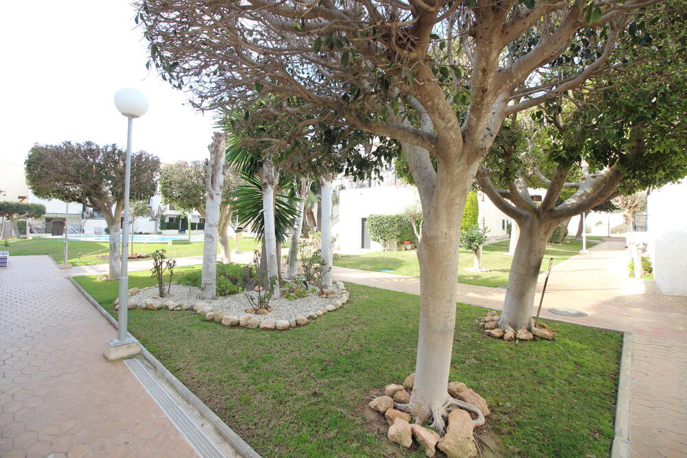 A-0082 OLEZA Apartment Orihuela Costa A-0082 OLEZA Apartment Orihuela Costa