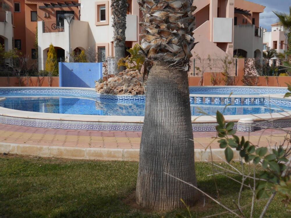A-0214 PUNTA MARINA Bungalow Orihuela Costa A-0214 PUNTA MARINA Bungalow Orihuela Costa