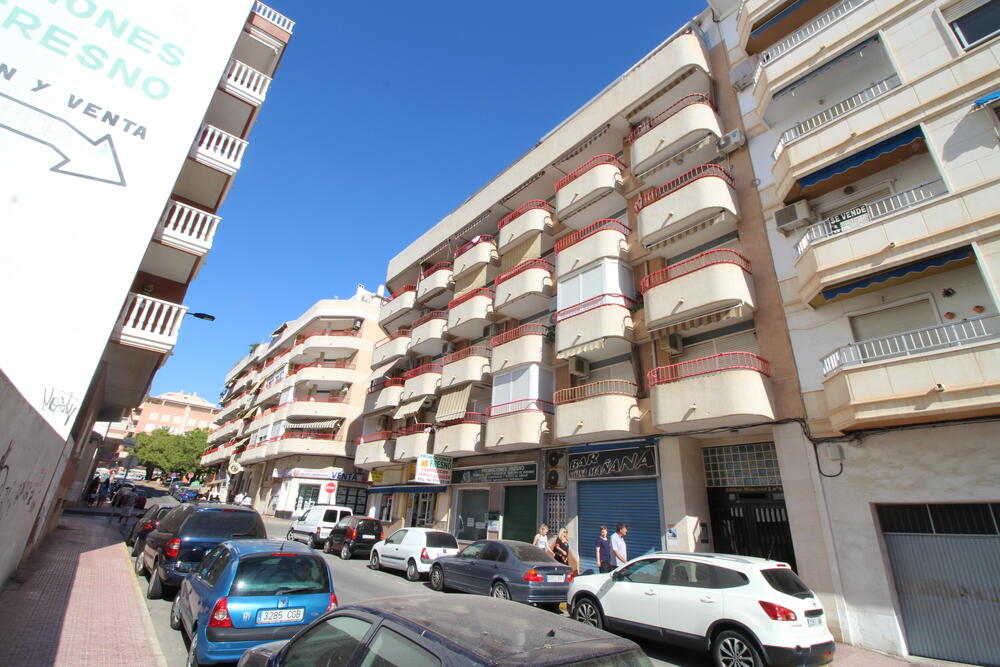 A-0250 MONSERRAT Study Torrevieja A-0250 MONSERRAT Study Torrevieja