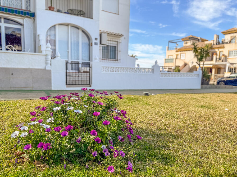 A-0323 FUENTE Bungalow Torrevieja A-0323 FUENTE Bungalow Torrevieja