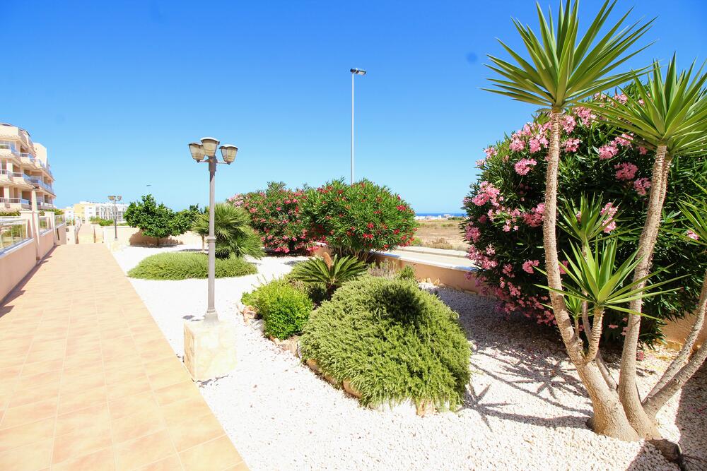 A-0325 PIMIENTA Apartment  Orihuela Costa