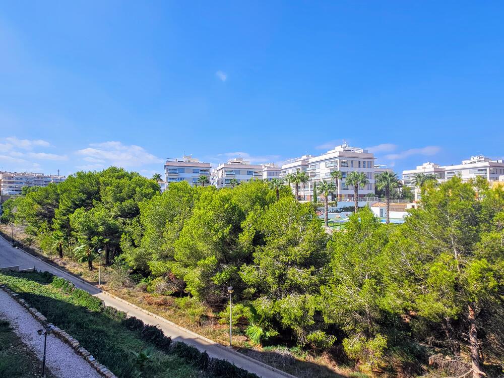 A-0325 PIMIENTA Apartment  Orihuela Costa