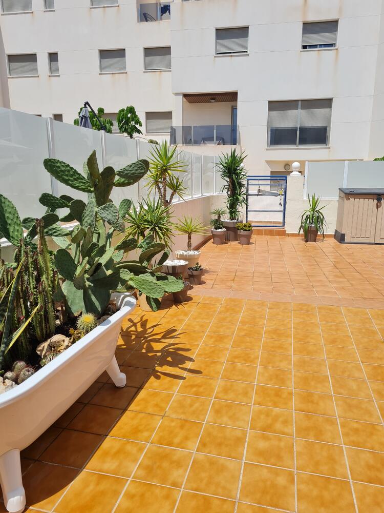A-0334 ROYAL ZENIA Apartment  Orihuela Costa