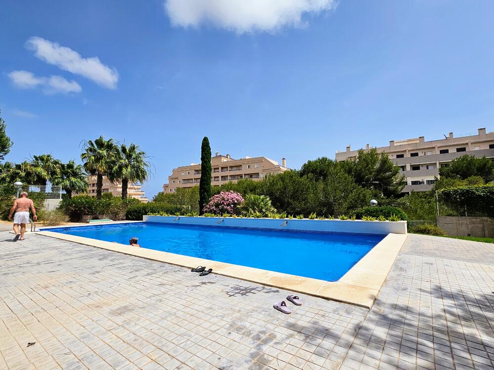 A-0392 CANELA Penthouse  Orihuela Costa