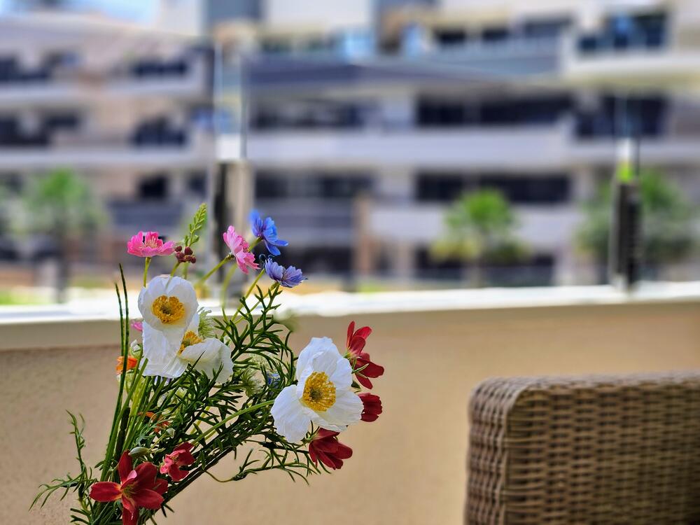 A-0425 SANTA ALODIA Apartment Orihuela Costa A-0425 SANTA ALODIA Apartment Orihuela Costa