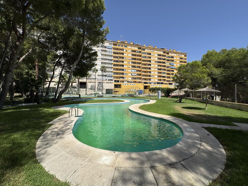 A-0426 CAMPOAMOR Apartment  Orihuela Costa