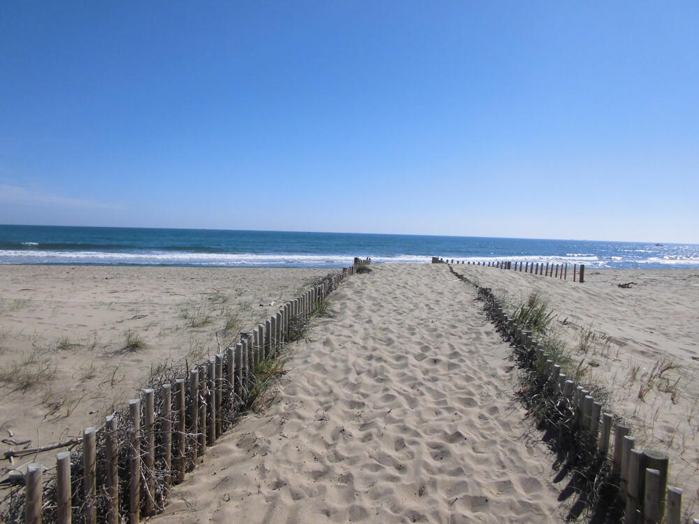 Mas Pinell Strand Mas Pinell Strand