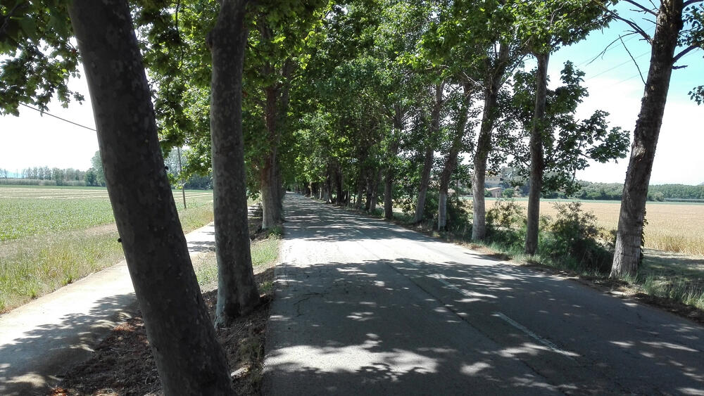 Anreisestraße nach Mas Pinell Anreisestraße nach Mas Pinell