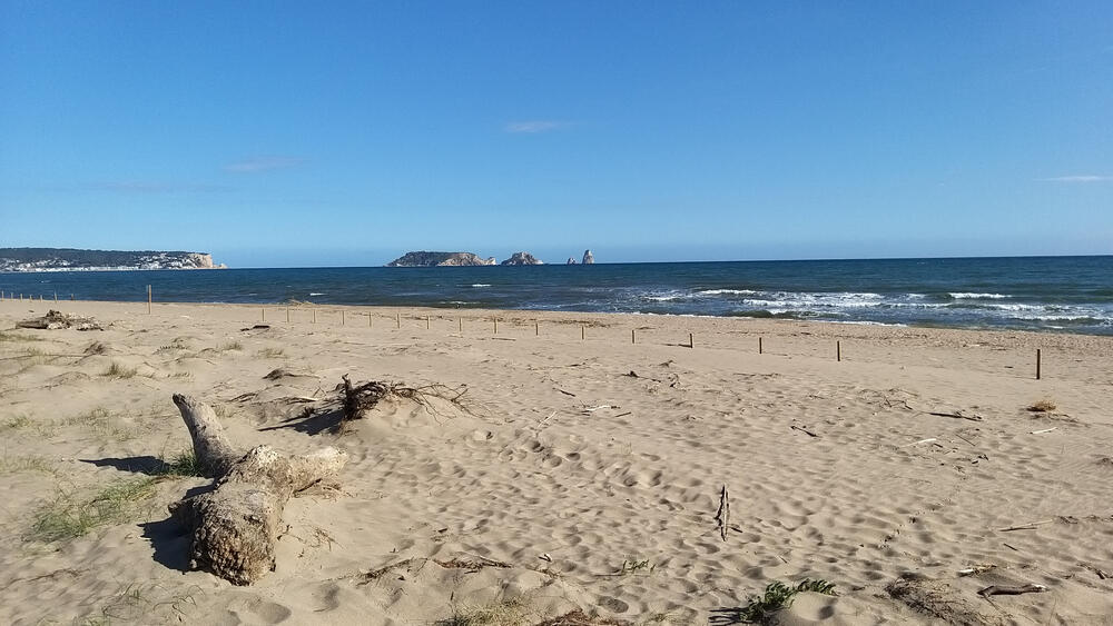 Strand Strand