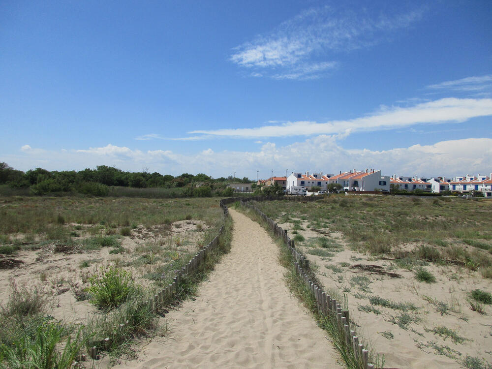 Strand