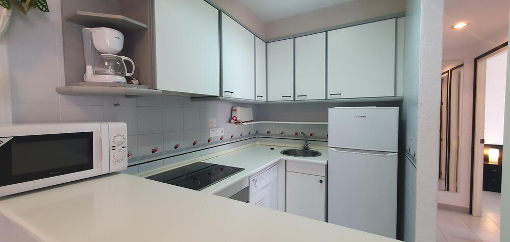 Küche mit Cerankochfeld, Geschirrspüler, Mikrowelle, Kühlschrank