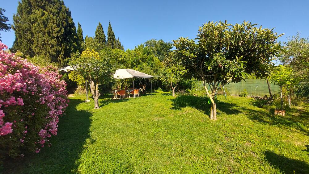 57 Terreny rustic a Ullà Ländlich Ullà 57 Terreny rustic a Ullà Ländlich Ullà