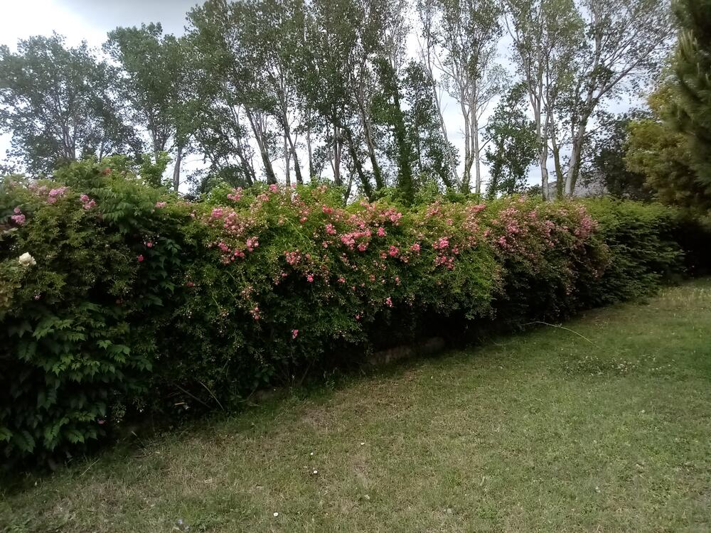 57 Terreny rustic a Ullà Ländlich Ullà 57 Terreny rustic a Ullà Ländlich Ullà
