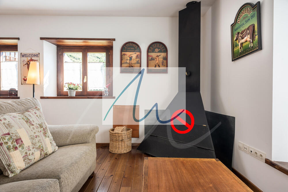 101 Aiguamoig Apartamento Val d'Aran Gessa