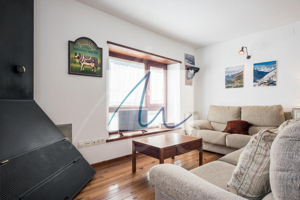 101 Aiguamoig Apartamento Val d'Aran Gessa