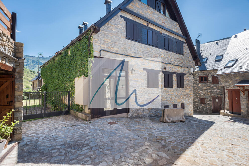 101 Aiguamoig Apartamento Val d'Aran Gessa