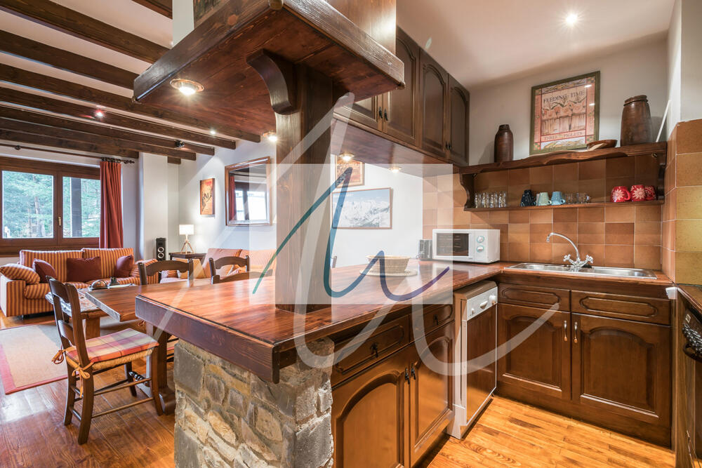 102 Amitges Apartamento Val d'Aran Baqueira