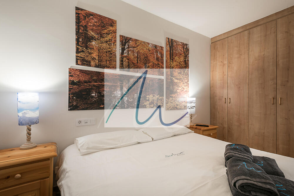 108 Bonaigua 007 Apartamento Val d'Aran Naut Aran