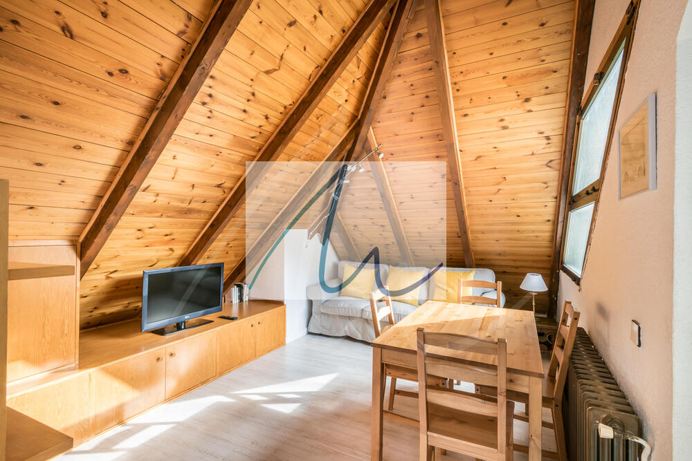 112 Brahets Apartamento Val d'Aran Naut Aran
