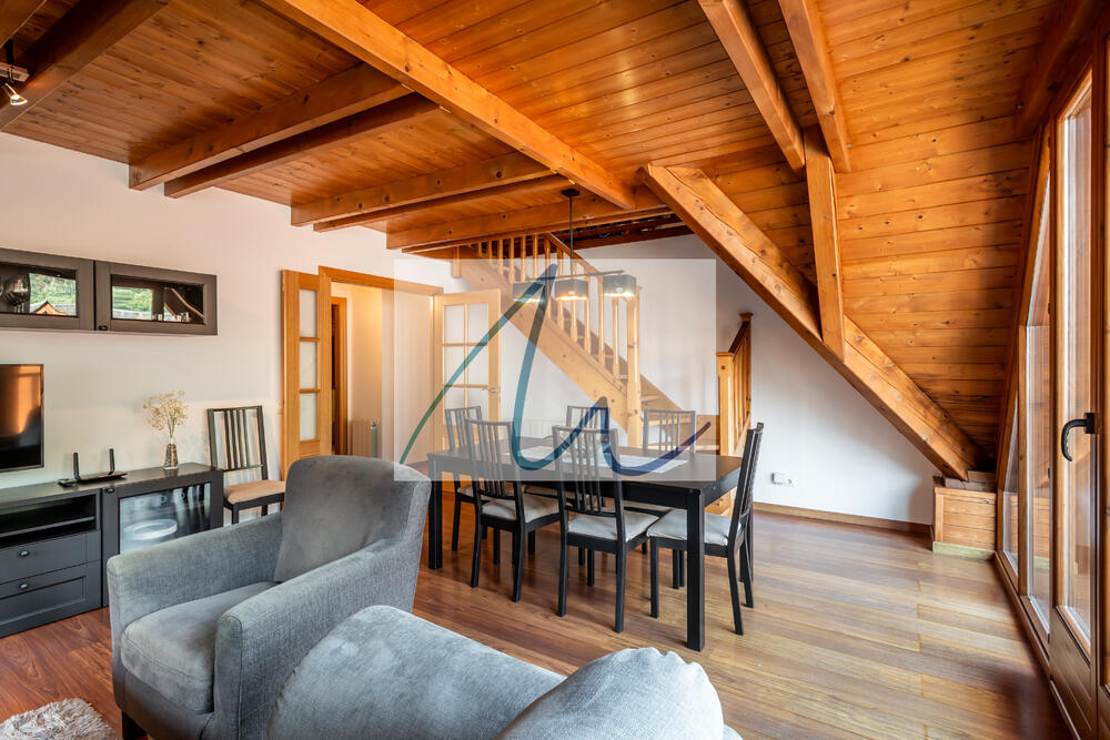 120 Cuveshic Apartamento Val d'Aran Bossòst 120 Cuveshic Apartamento Val d'Aran Bossòst