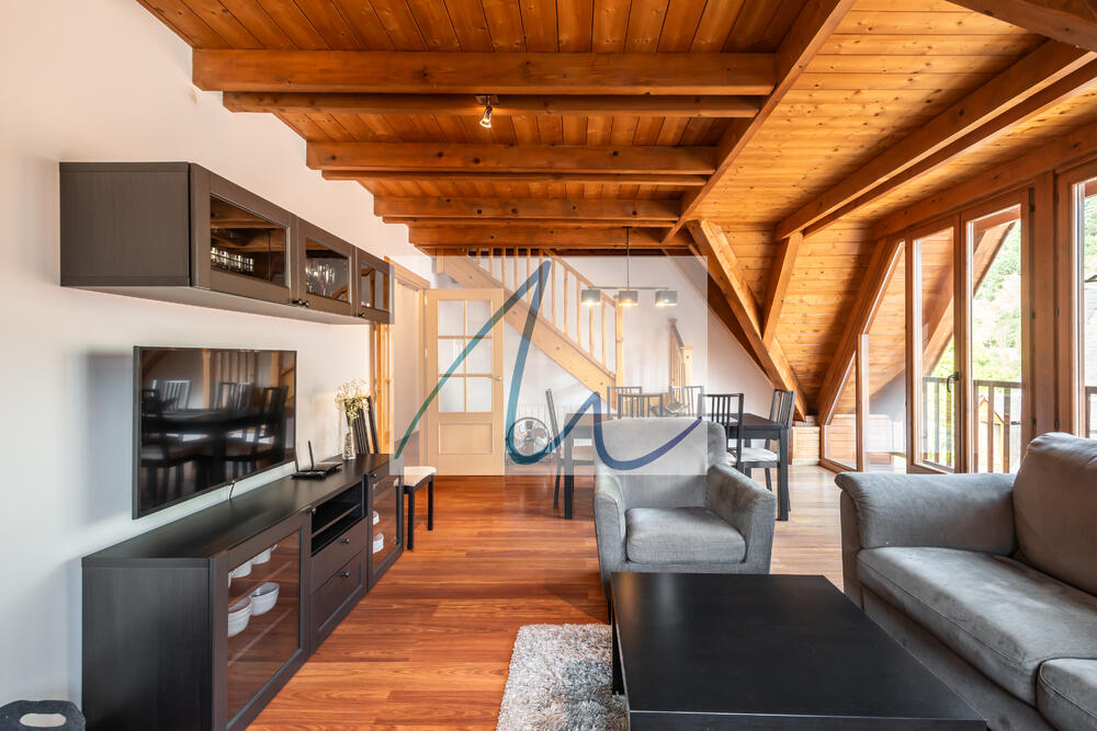 120 Cuveshic Apartamento Val d'Aran Bossòst 120 Cuveshic Apartamento Val d'Aran Bossòst
