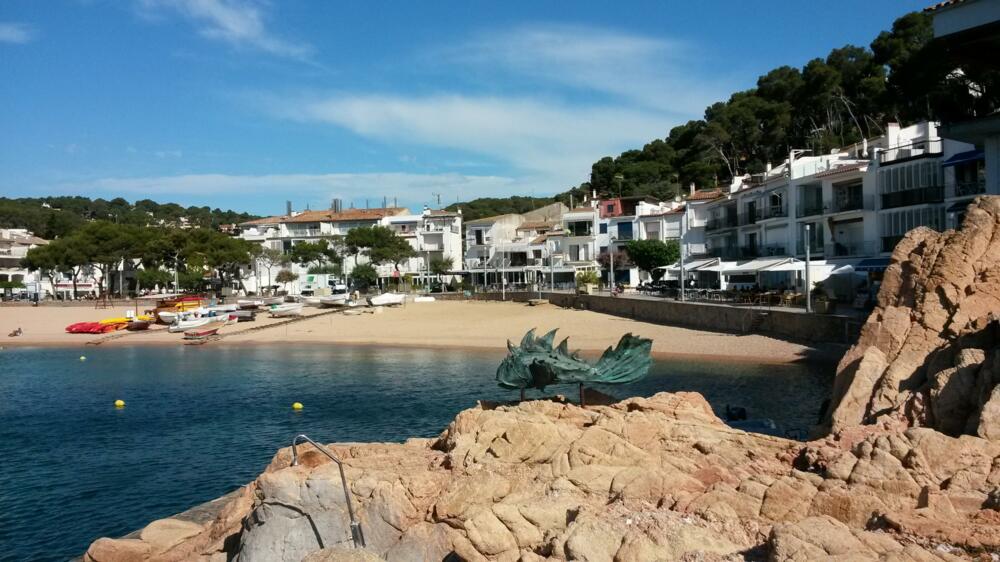 CM341 GERBERA Отдельный дом / Villa Costa Brava Tamariu