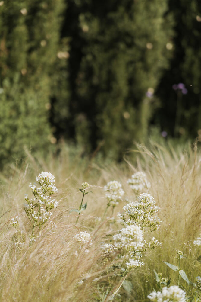 CM2381 CAN CANYELLES Detached house / Villa Mont-ras CM2381 CAN CANYELLES Detached house / Villa Mont-ras