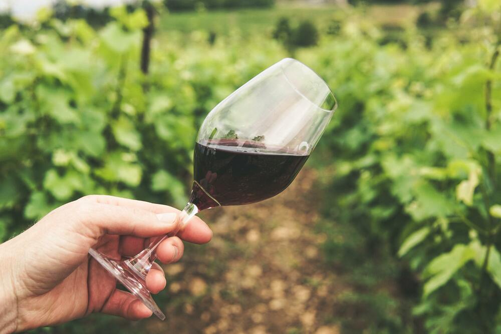 From wineries. The wine route in the Empordà.