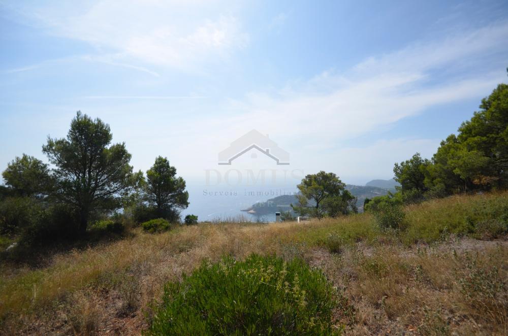 902 Les Magnolies II Building plot Begur Begur 902 Les Magnolies II Building plot Begur Begur