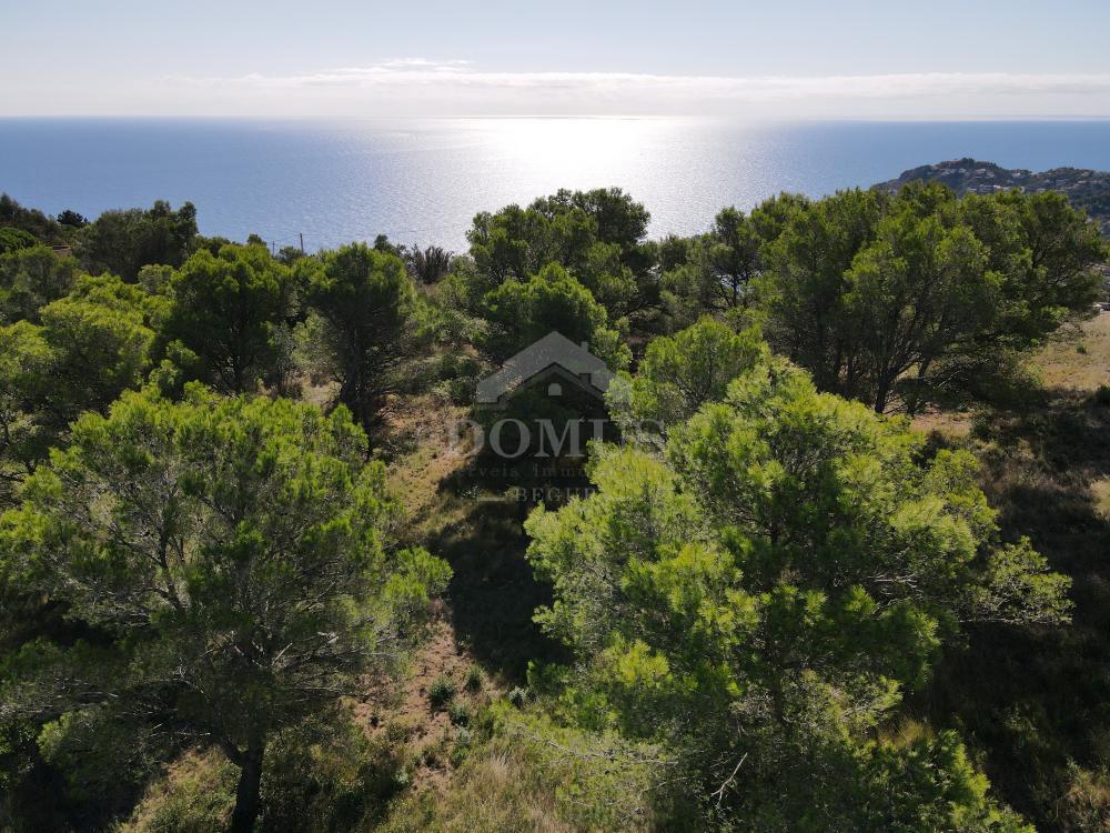 902 Les Magnolies II Building plot Begur Begur 902 Les Magnolies II Building plot Begur Begur